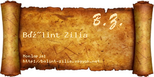 Bálint Zilia névjegykártya